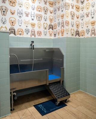 Even Rover deserves a healthy amenity